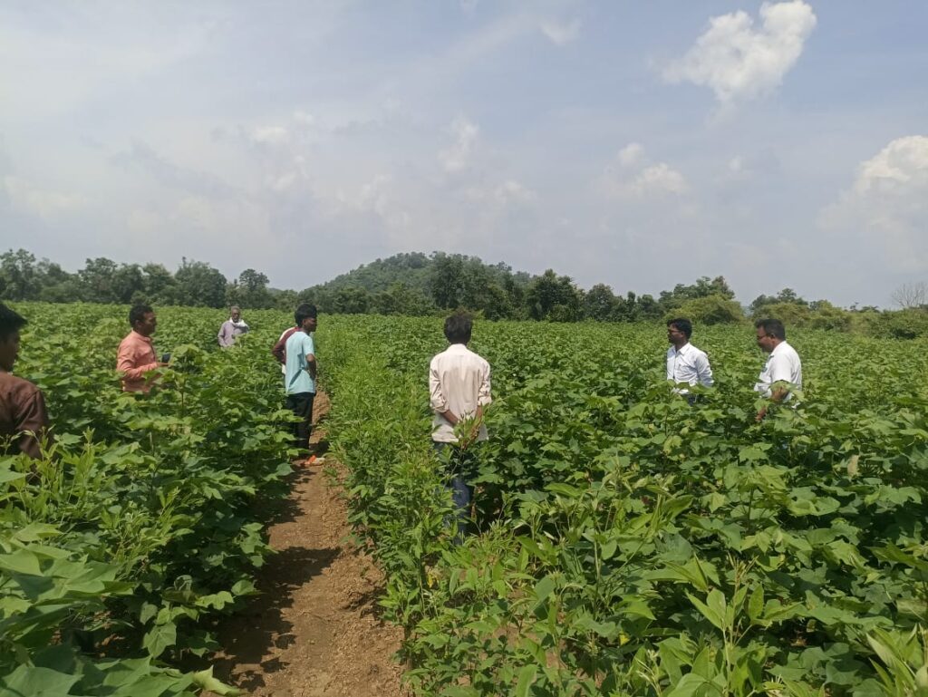 Ayurveda-Based Sustainable Agriculture Our Vision At Swas Social Welfare Foundation, our mission is to promote harmony between nature and human life. We believe that agriculture is not merely about growing crops — it is about nurturing the soil, conserving water, preserving biodiversity, and ensuring long-term ecological balance. Through the wisdom of Ayurveda, we are reviving ancient Indian agricultural practices to create a sustainable, natural, and regenerative farming model. --- What is Ayurvedic Sustainable Agriculture? Our approach combines Ayurvedic principles with eco-friendly farming methods to ensure soil fertility, plant health, and environmental protection. We implement: Natural Ayurvedic fertilizers using cow dung, cow urine, neem, tulsi, giloy, and other herbs to enrich the soil. Natural pest control methods instead of harmful chemical pesticides — using herbal extracts and Ayurvedic mixtures. Medicinal and herbal inter-cropping, which enhances biodiversity and provides farmers with additional income. Panchagavya and Jeevamrut preparations to rejuvenate soil microorganisms and restore natural fertility. Water conservation, crop rotation, and agroforestry practices to maintain soil moisture and prevent erosion. --- Our Program – “Healthy Soil, Prosperous Farmers” Our initiative is built on five core pillars: 1️⃣ Training & Awareness: Organizing workshops for rural farmers on Ayurvedic organic fertilizers, natural pest repellents, and eco-friendly farming methods. 2️⃣ Model Farms: Setting up demonstration farms where farmers can practically learn and experience Ayurvedic sustainable farming techniques. 3️⃣ Medicinal Plant Cultivation: Encouraging the cultivation of herbal crops such as Tulsi, Ashwagandha, Aloe Vera, and Giloy along with traditional crops — to boost income and land productivity. 4️⃣ Soil Health Monitoring: Regular soil testing, promoting soil microorganisms, and maintaining balanced nutrient levels using Ayurvedic inputs. 5️⃣ Cooperative Network: Building farmer groups for shared learning, cost-sharing, and collective marketing to strengthen the farming community. --- Why This Model Works Reduces dependence on chemical fertilizers and pesticides. Revives soil fertility and natural microbial life. Lowers production costs and enhances crop quality. Encourages biodiversity and ecological balance. Increases farmers’ income through crop diversification and value addition. --- How You Can Join Us As a Farmer: Join our training programs and adopt Ayurveda-based sustainable practices on your farm. As a Donor or Volunteer: Support our mission to train more farmers and expand model farms across India. As a Partner Organization: Collaborate with us in research, training, or community development projects promoting sustainable agriculture. --- Our Commitment We are committed to transparency, farmer welfare, and environmental protection. Our goal is simple yet powerful: > 🌱 Healthy Soil, Prosperous Farmers, and a Greener Future.